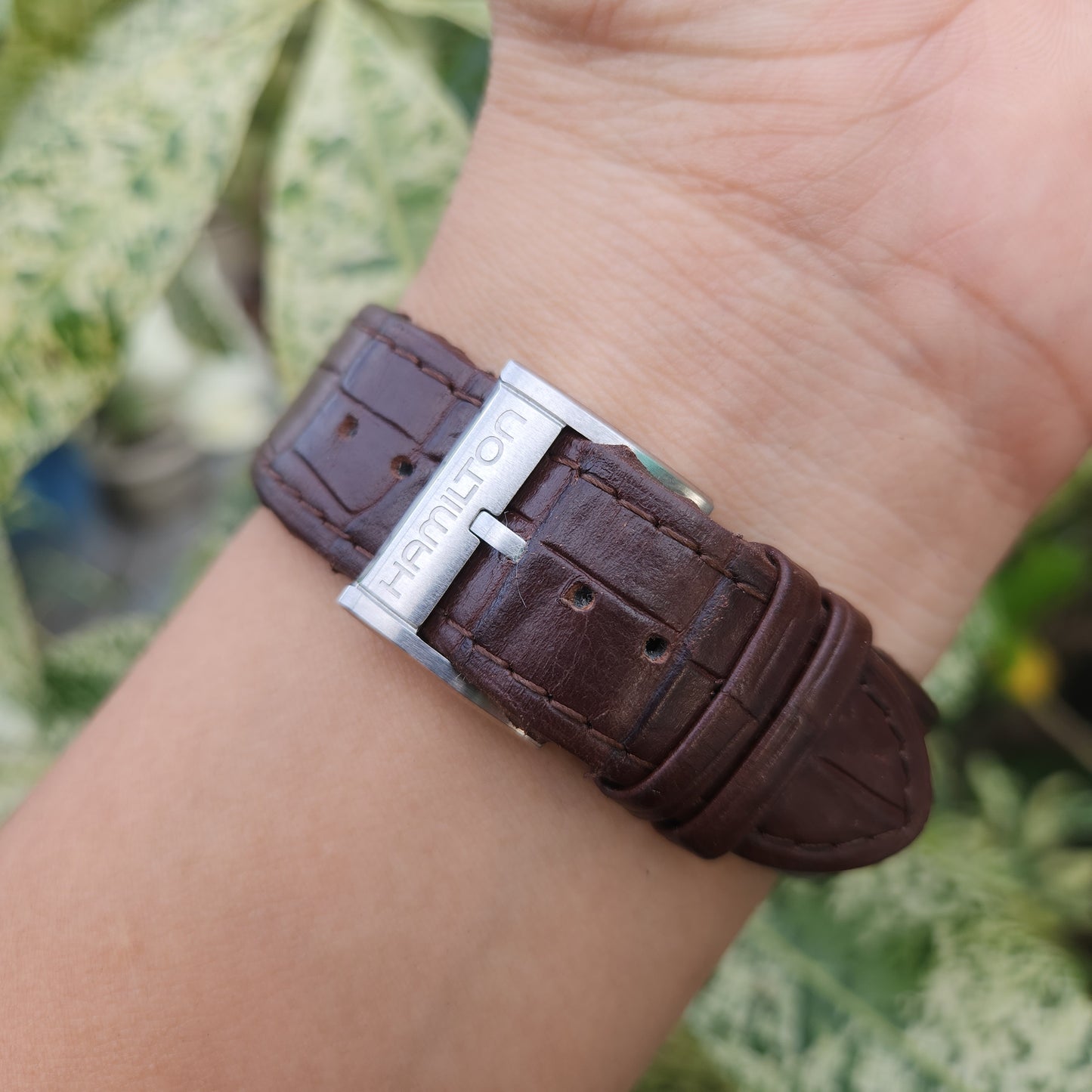 Hamilton Jazzmaster Maestro Auto Chrono in White Dial 45mm